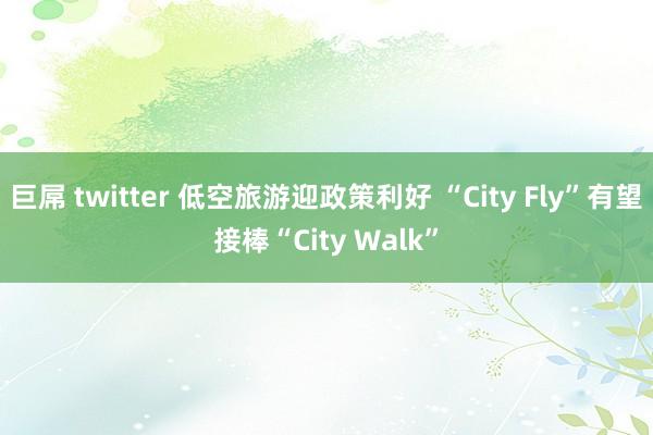 巨屌 twitter 低空旅游迎政策利好 “City Fly”有望接棒“City Walk”