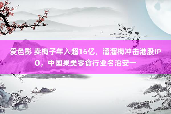 爱色影 卖梅子年入超16亿，溜溜梅冲击港股IPO，中国果类零食行业名治安一