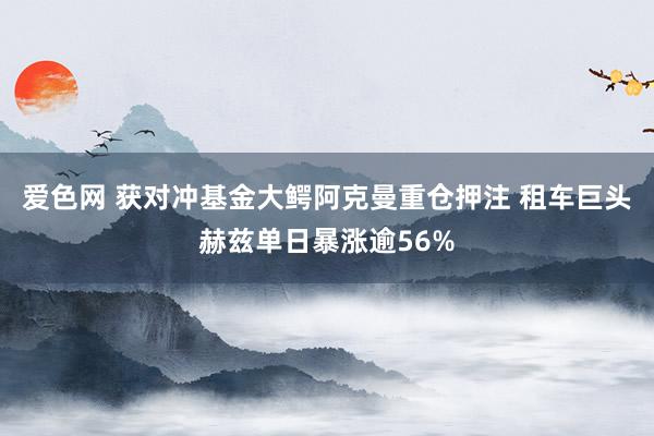 爱色网 获对冲基金大鳄阿克曼重仓押注 租车巨头赫兹单日暴涨逾56%