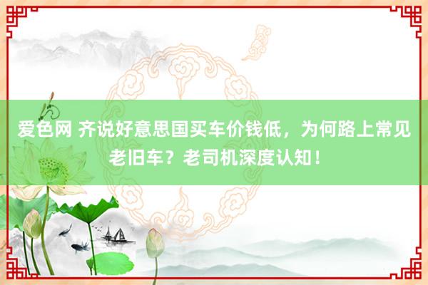 爱色网 齐说好意思国买车价钱低，为何路上常见老旧车？老司机深度认知！