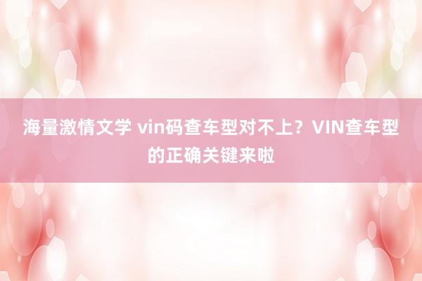海量激情文学 vin码查车型对不上？VIN查车型的正确关键来啦