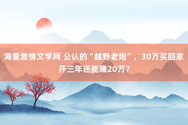 海量激情文学网 公认的“越野老炮”，30万买回家开三年还能赚20万？
