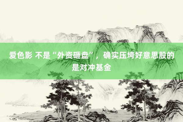 爱色影 不是“外资砸盘”，确实压垮好意思股的是对冲基金
