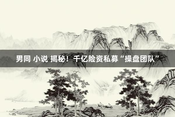 男同 小说 揭秘！千亿险资私募“操盘团队”